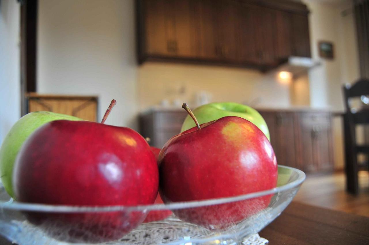 Willa Misiaga Apartamenty Murzasichle Ruang foto
